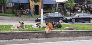 ОСЛОБОДУВАЊЕ НА ТЕРИТОРИЈА КАРПОШ, ХУМАНО РЕШЕНИЕ ЗА БЕЗБЕДЕН ЖИВОТ