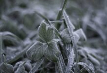 Променливо време со повремен дожд, од утре значителен пад на температурите