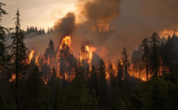 Шпански војник загина во операција за гаснење пожар во Арагон