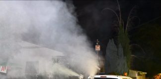 СКОПЈЕ: Вечерва ќе се спроведе 13-тата дезинсекција против комарци