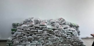 По акцијата „Вардарис“: Истрага и притвор за едно лице осомничено за транспорт на над 324 килограми марихуана